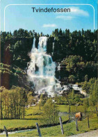 Norvège -  Tvindefossen - Ruten Voss-Stalheim-Gudvangen - Tvinde Falls - By The Voss-Stalheim-Gudvangen Road - Norge - N - Noruega