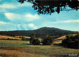 58 - Saint Honoré Les Bains - La Vieille Montagne Aux Environs De Saint Honoré Les Bains - CPM - Voir Scans Recto-Verso - Saint-Honoré-les-Bains