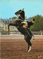 Animaux - Chevaux - Saumur  - Ecole Nationale D'Equitation - Le Cadre Noir - Courbette - Carte Neuve - CPM - Voir Scans  - Chevaux