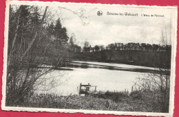 C.P. Boussu-lez-Walcourt = L' Etang  De Féronval - Froidchapelle