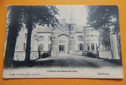 ZANDHOVEN   - SANTHOVEN  -  Ingang Van Het Kasteel - L'Entrée Du Château De Liere - Zandhoven