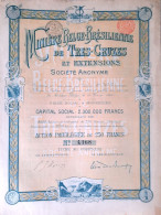 Miniére Belge-Brésilienne De Très Cruzes Et Extensions - Act.priviligée  (1901) - Bruxelles - Mijnen