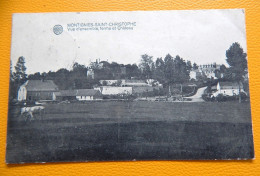 MONTIGNIES-SAINT-CHRISTOPHE  -  Vue D'ensemble , Ferme Et Château - Erquelinnes