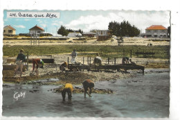 La Plaine-sur-Mer (44) : La Pêche Sur La Palourde Plage De LaTara En 1965 (animé) PF - La-Plaine-sur-Mer