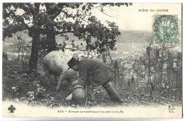 COCHON - Scène Du Centre - Groupe Sympathique Trouvant La Truffe - Schweine