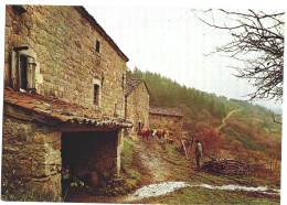 Ferme En Montagne, Paysan, Vaches - Photo Michel José - Edition Didier Richard - Grand Format - Boerderijen