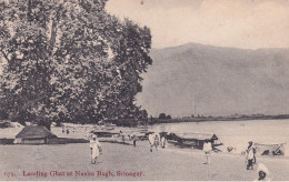 INDE(SRINAGAR) ARBRE - Indien