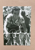 HINAULT Bernard / Wielrennen - Cyclisme / 15 X 10,5 Cm. - Deportes