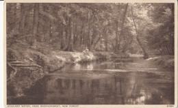 B78. Vintage Postcard. Highland Water. Near Brockenhurst. - Sonstige & Ohne Zuordnung