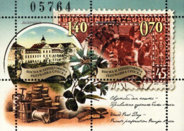 Bosnia & Herzegovina - Republika Srpska - 2010 - World Post Day - Mint Souvenir Sheet - Bosnia And Herzegovina