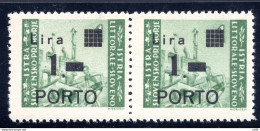 Istria Litorale Sloveno Segnatasse Porto 1 Lira Varietà - Other & Unclassified