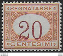 1894 Italia Segnatasse 20c. Bc MNH Sassone N. 22 - Sonstige & Ohne Zuordnung