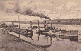 TORGAU  -  SAXEN   -   DEUTSCHLAND   -   ANSICHTKARTE  -  1915   PARTIE  AN  DER  ELBE. - Torgau