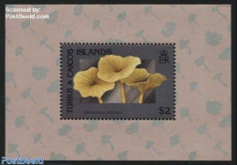 Turks And Caicos Islands 1991 Mushroom S/s, Mint NH, Nature - Mushrooms - Pilze