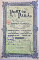 Port Of Para - Warrant To Bearer For 1 Preferred Share - 1906 (Portland USA) - Andere & Zonder Classificatie