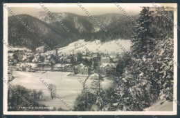 Udine Tarvisio Nevicata ABRASA Foto Cartolina ZQ3597 - Udine