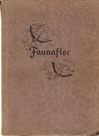 Album FAUNAFLOR II - Chocolat Côte D'Or 1954 -  127 Images Sur 164. - Côte D'Or