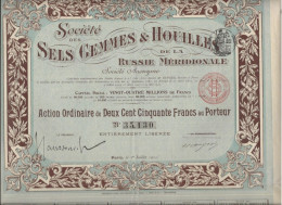 SOCIETE DES SELS GEMMES ET HOUILLES DE LA RUSSIE MERIDIONALE - ACTION DE 250 FRS  ANNEE 1911 - Mijnen