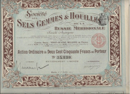 SOCIETE DES SELS GEMMES ET HOUILLES DE LA RUSSIE MERIDIONALE - ACTION DE 250 FRS  ANNEE 1911 - Miniere