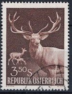 Österreich Autriche Austria - Rotwild (Cervus Elaphus) (MiNr: 1065) 1959 - Gest Used Obl - Usados