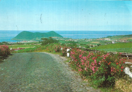 ILHA TERCEIRA AÇORES Vista Do Pico Redondo Postcard - Açores