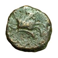 Ancient Greek Coin Panormos Sicily AE12mm Apollo / Horse Forepart Dolphin 04059 - Grecques