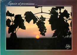 Vignes - La Vigne Au Soleil Couchant - CPM - Etat Pli Visible - Voir Scans Recto-Verso - Viñedos