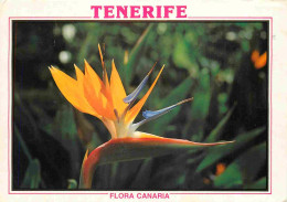 Espagne - Espana - Islas Canarias - Tenerife - Flora Canaria - Strelitzia Reginae - Fleurs - CPM - Voir Scans Recto-Vers - Tenerife