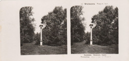 Warszawa , Wilanow Park Photo 1905 Dim 18 Cm X 9 Cm - Pologne