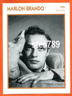 MARLON BRANDO 1955 Etats Unis Filmographie Biographie Fiche Acteur Actrice Cinéma - Andere & Zonder Classificatie