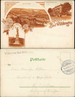 Ansichtskarte Bad Wildungen Litho AK: Stadt, Hotels 1899 - Bad Wildungen