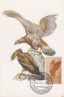 Carte Maximum Sahara Espagnol Espanol 1957 Oiseau Bird Aigle Royal Rapace Raptor - Sahara Español