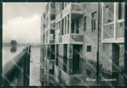 Rovigo Città Alluvione 1951 Foto FG Cartolina ZK3013 - Rovigo