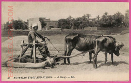 Ag2630  - EGYPT - VINTAGE POSTCARD  - Ethnic - Africa