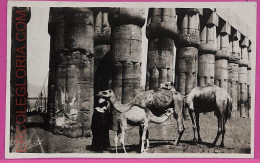 Ag2632  - EGYPT - VINTAGE POSTCARD  - Ethnic - Africa