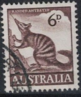 Australien- Ameisenbeutler (Myrmecobius Fasciatus) (MiNr: 294) 1960 - Gest Used Obl - Used Stamps