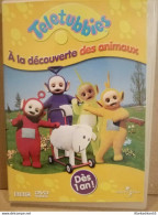 Télétubbies - À La Découverte Des Animaux/ DVD - Andere & Zonder Classificatie