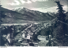 D114 - Cartolina Sondrio Citta'  -  Panorama - Sondrio