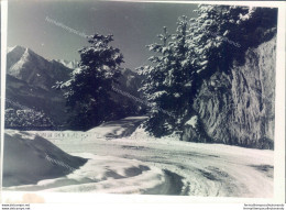 D284- Bozza Fotografica Provincia Di Sondrio - Dintorni Di Prasomaso E Alpemugo - Sondrio