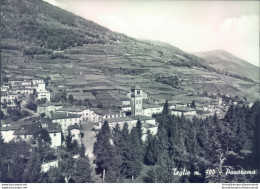 D43 - Cartolina  Provincia Di Sondrio - Teglio Panorama - Sondrio