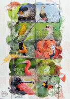 Netherlands 2024, Birds On Bonaire, MNH S/S - Unused Stamps