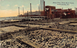 SOUTH OMAHA (NE) Sheep Pens, Union Stock Yards - Omaha