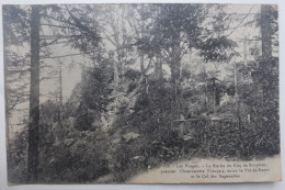 SAINTE MARIE AUX MINES, Col Des Bagenelles, Observatoire Coq De Bruyères 1914 1918, Pré De Raves - Sainte-Marie-aux-Mines