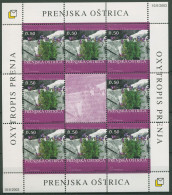 Bosnien-Herzegowina (Kroat. Post) 2003 Blumen 110 K Postfrisch (C90244) - Bosnia And Herzegovina