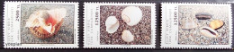 Northern Cyprus 1994, Shells, MNH Stamps Set - Neufs