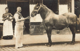 Commerce Magasin Boucherie Charcuterie * Carte Photo Non Située * Boucher Et Cheval * Horse Abattoir - Altri & Non Classificati