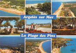 66-ARGELES SUR MER-N°2008-A/0255 - Argeles Sur Mer