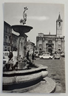 ASCOLI PICENO - La Cattedrale - Ascoli Piceno