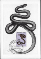 Rwanda 1967 COB 198, Carte Maximum. Serpent Mangeur D'œufs - Serpents