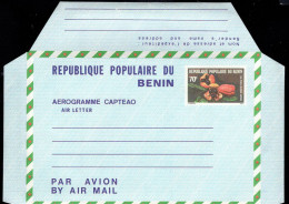 BENIN(1978) Ackee Apple (Blighia Sapida). 70f Aerogramme. - Benin – Dahomey (1960-...)